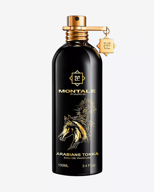 Arabians Tonka - Montale